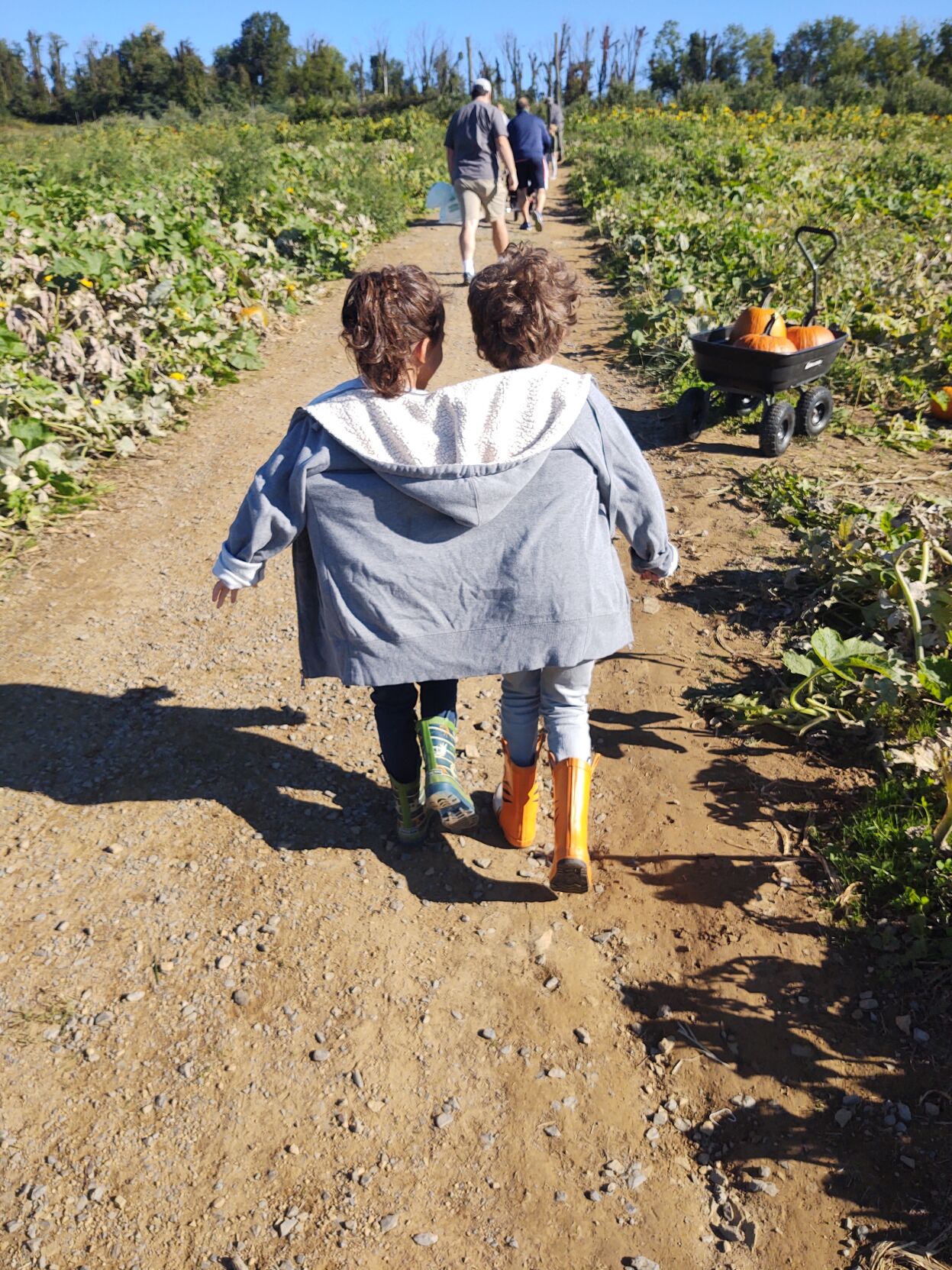 Photo_Lifestyles_apple picking_kids.jpg